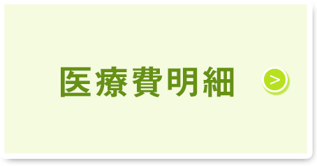 医療費明細